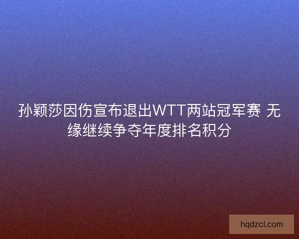 孙颖莎因伤宣布退出WTT两站冠军赛 无缘继续争夺年度排名积分 孙颖莎因伤宣布退出WTT两站冠军赛 无缘继续争夺年度排名积分