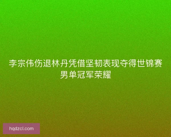 李宗伟伤退林丹凭借坚韧表现夺得世锦赛男单冠军荣耀 李宗伟伤退林丹凭借坚韧表现夺得世锦赛男单冠军荣耀